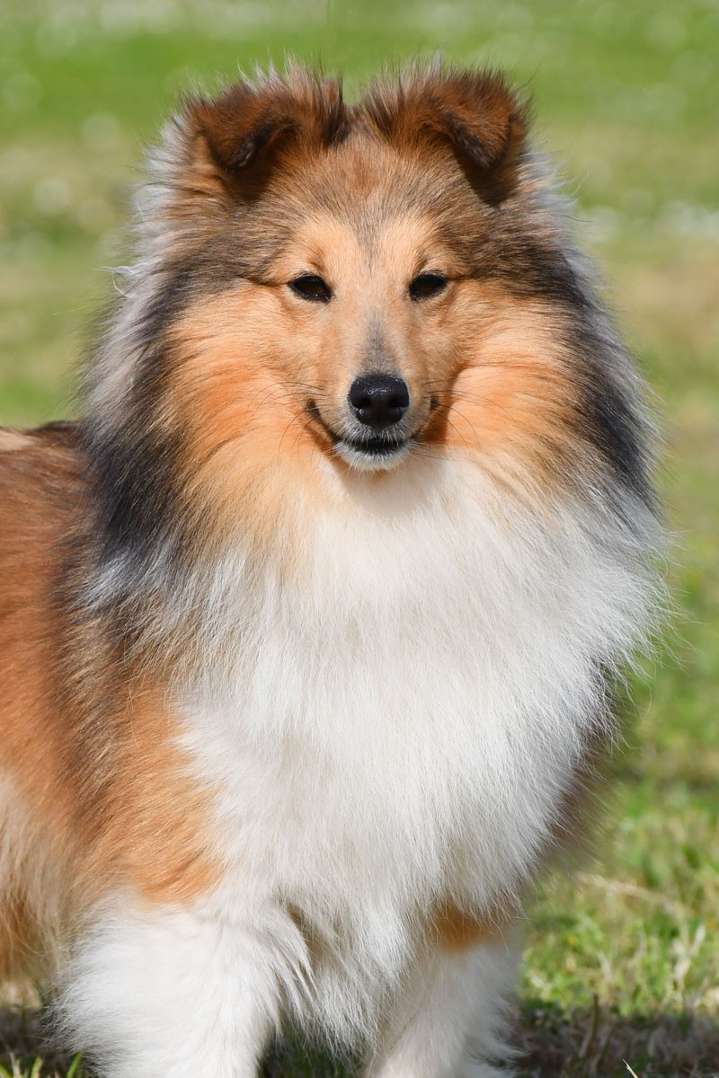 Une belle idée de la source du Montet